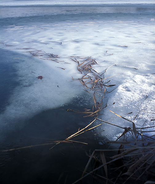 Zamrzlá hladina Telečkovského rybníka