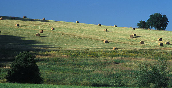 Krajina s balíky sena