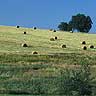 Landscape With Hay Packs