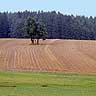 Cross Near Pokojov