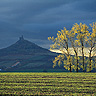 Autumn Under Castle Hasenburg