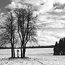 Cross Near Pokojov